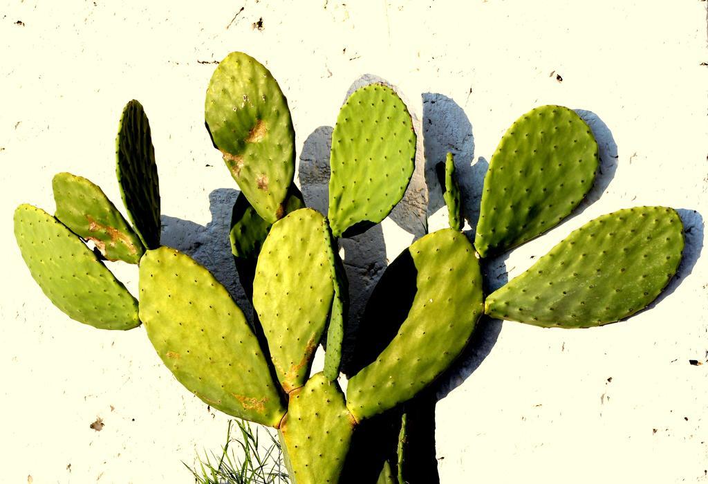 B&B Villa Romina San Cataldo  Exteriér fotografie